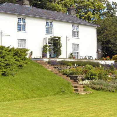 Frondderw in Bala