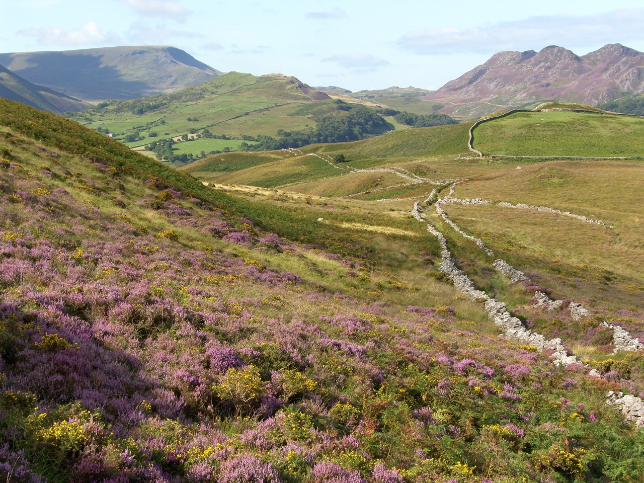 Old Trackway, near Graig y Castell, Dolgellau