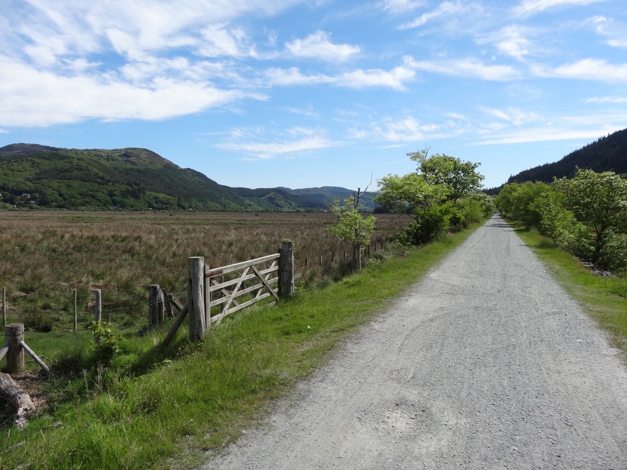 The Mawddach Trail