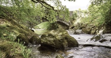Torrent Walk