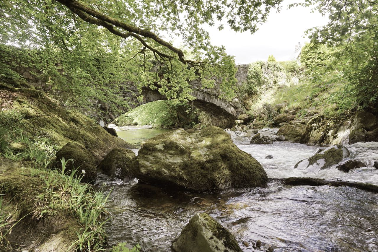Torrent Walk